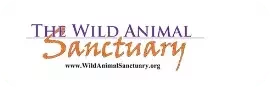 Wild Animal Sanctuary